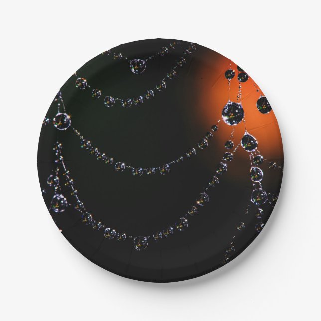 Spiderweb jewels harvest moon black orange paper plate (Front)