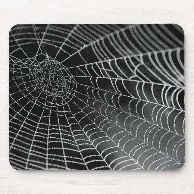 Spiderweb mousepad (Front)