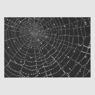 Spiderweb Tissue Paper