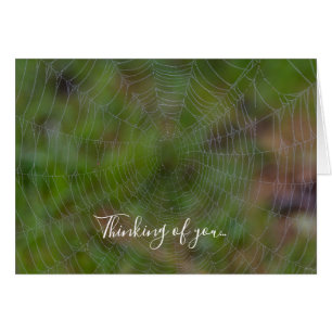 Spiderweb With Droplets Thinking Of You Card