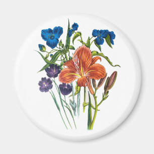 Spiderwort and Daylily Magnet