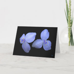 Spiderwort Flower Blank Greeting Cards