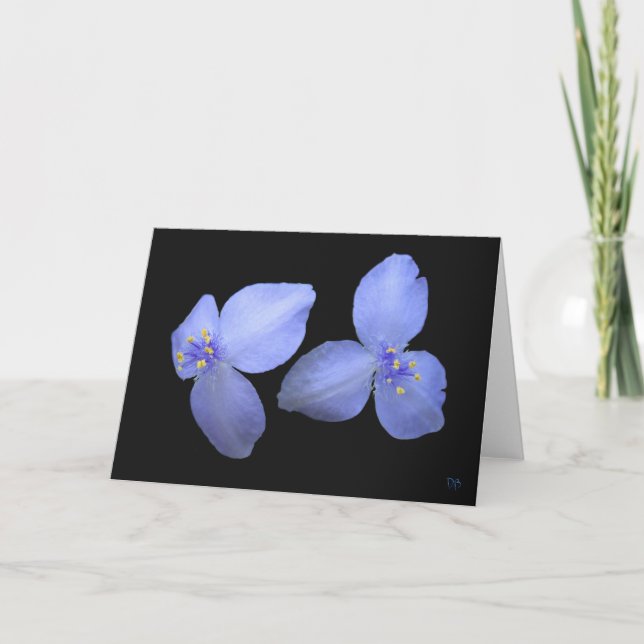 Spiderwort Flower Blank Greeting Cards (Front)