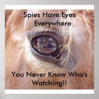 Spies Eyes Poster