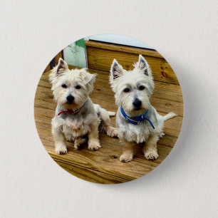 Spike and Polar. 6 Cm Round Badge