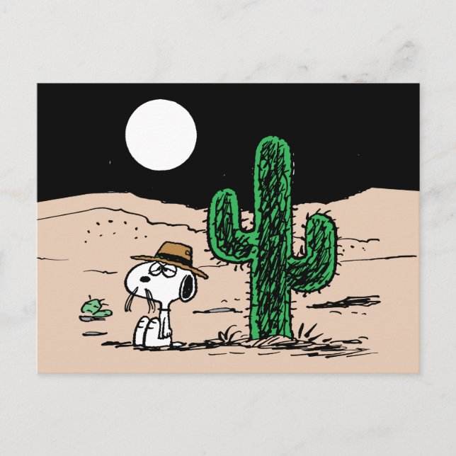 Spike in a Moonlit Desert Postcard (Front)