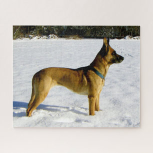 Spike in the snow jigsaw puzzle