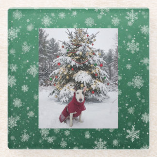 Spike "Let it snow" Glass Coaster