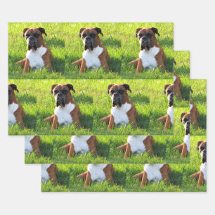 Spike the Boxer - Dog Wrapping Paper Sheets