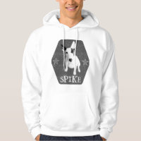 Spike, the coolest English Bull Terrier