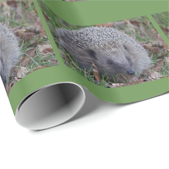 Spike Wrapping Paper (Roll Corner)