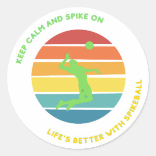 Spikeball Stickers Life is Better with it