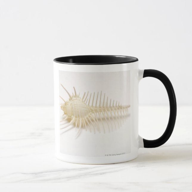 Spiked Murex shell Mug (Right)