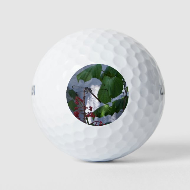 Spiketail dragonfly golf balls (Front)
