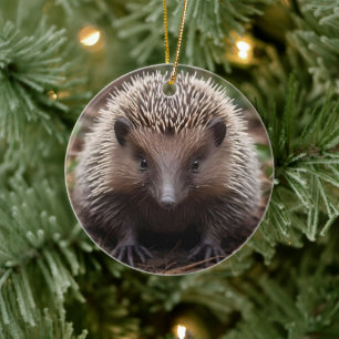**"Spiky Beginnings: The Adorable Baby Echidna"** Ceramic Ornament