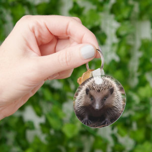 **"Spiky Beginnings: The Adorable Baby Echidna"** Key Ring