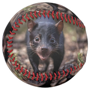 **"Spiky Beginnings: The Adorable Baby Echidna"** Softball