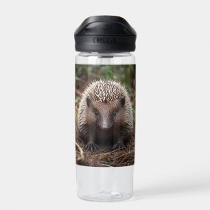 **"Spiky Beginnings: The Adorable Baby Echidna"** Water Bottle