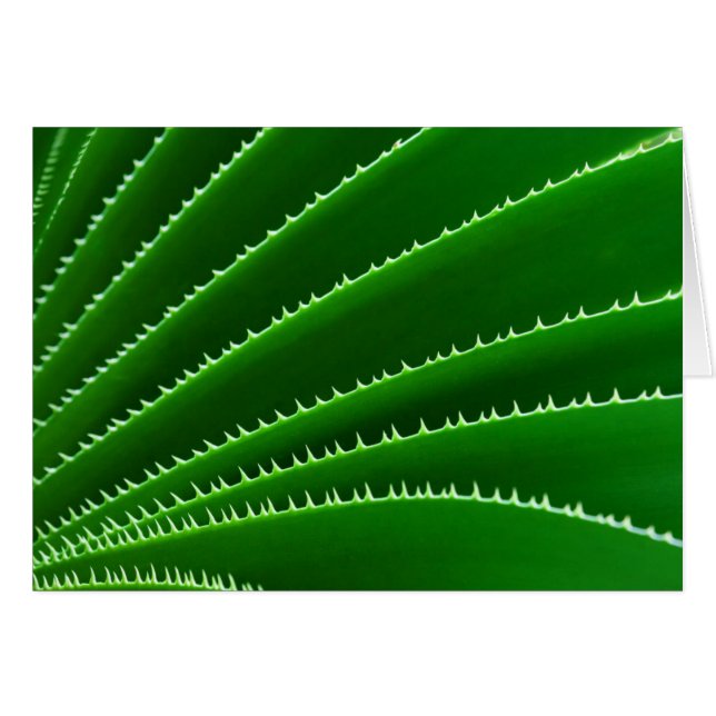 Spiky Green Leaf Pattern (Front Horizontal)