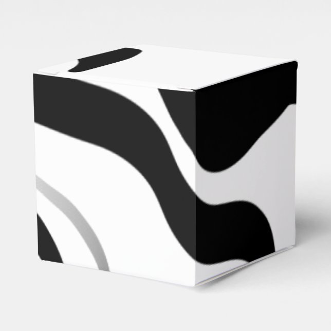 Spin Cycle: Abstract Black & White Favour Box (Front Side)