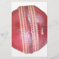 Spin Master's Sphere: A Fun Left Spin Cricket Ball