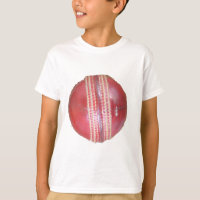 Spin Master's Sphere: A Fun Left Spin Cricket Ball