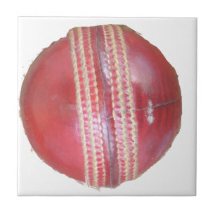 Spin Master's Sphere: A Fun Left Spin Cricket Ball Tile