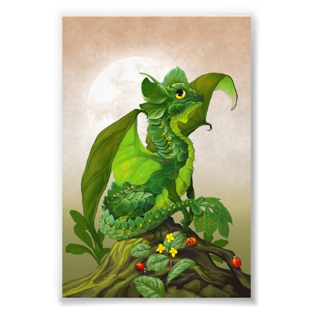 Spinach Dragon 4x6 Print (Front)