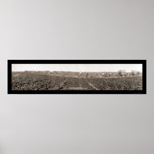 Spinach Harvest Photo 1928 Poster