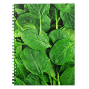 Spinach Notebook