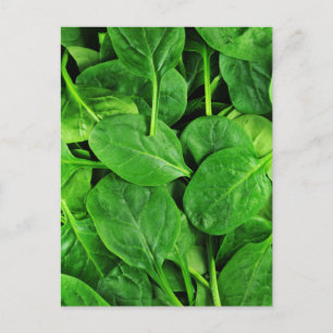Spinach Postcard