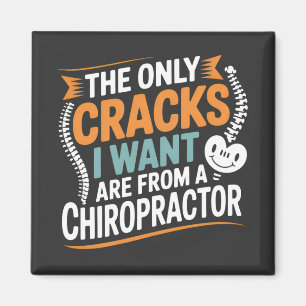 Spinal Alignment and Posture Recovery Magnet