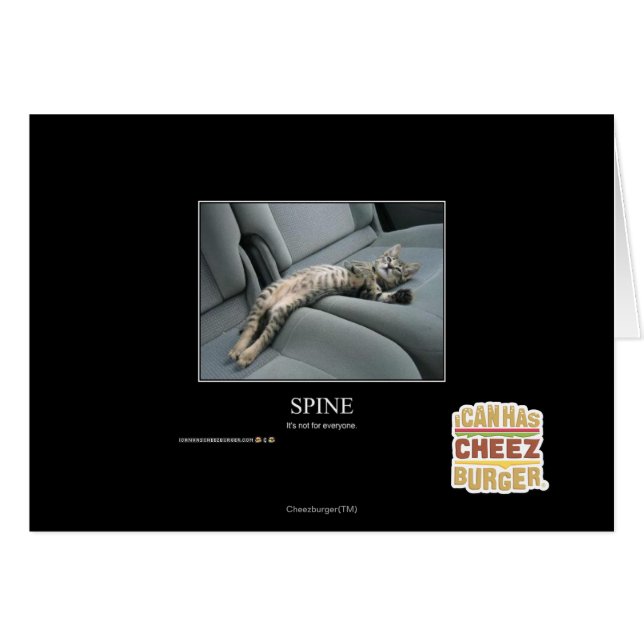 Spine (Front Horizontal)