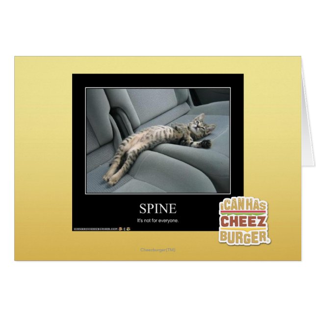 Spine (Front Horizontal)