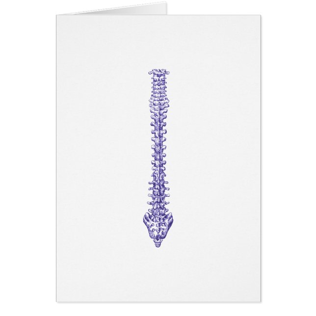 Spine Blue (Front)