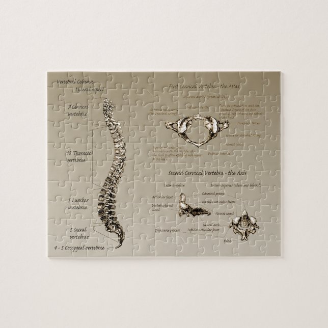 Spine Jigsaw Puzzle (Horizontal)