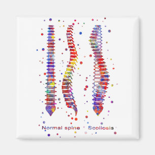 Spine Magnet