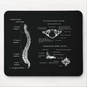 Spine Mouse Pad