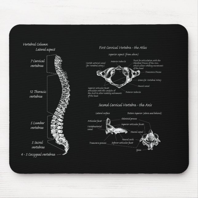 Spine Mouse Pad (Front)