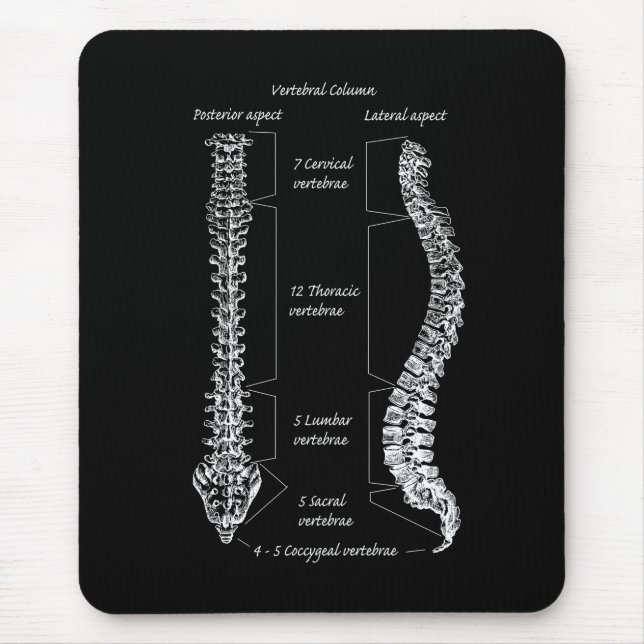 Spine Mouse Pad (Front)
