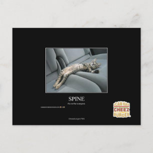 Spine Postcard