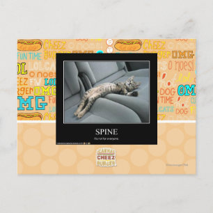 Spine Postcard