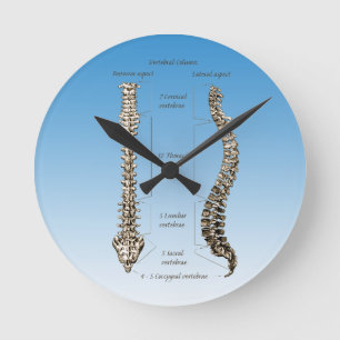 Spine Round Clock