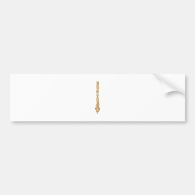 Spine Sepia Bumper Sticker (Front)