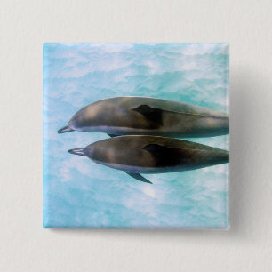 Spinner Dolphins Oahu Hawaii 15 Cm Square Badge