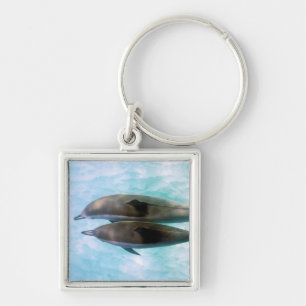 Spinner Dolphins Oahu Hawaii Key Ring