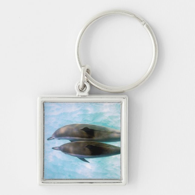 Spinner Dolphins | Oahu Hawaii Key Ring (Front)