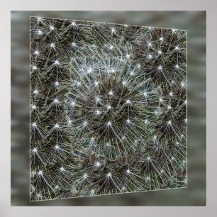 Spinning dandelion puff poster