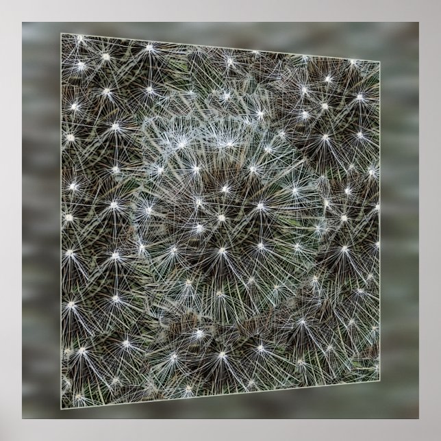 Spinning dandelion puff poster (Front)