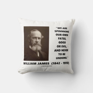 Spinning Our Own Fates Good Or Evil James Quote Cushion